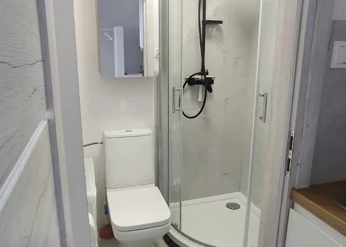 Starowiejska Apartment *